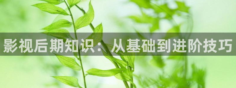 紅桃影院免費(fèi)看