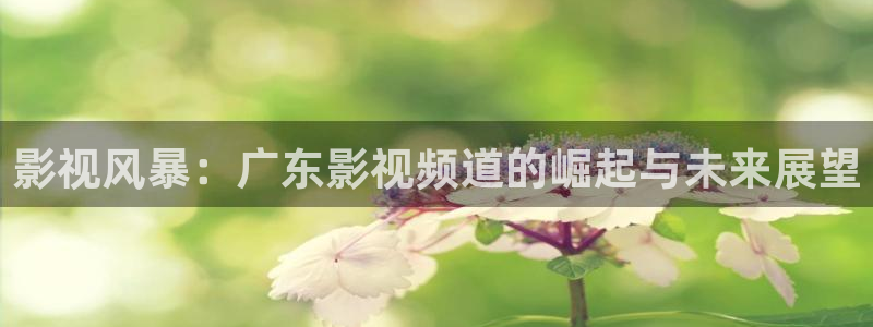 紅桃影視午夜：影視風暴：廣東影視頻道的崛起與未來展望