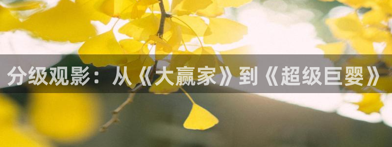 yy4138殤情影院網站紅桃：分級觀影：從《大贏家》到《超級巨嬰》