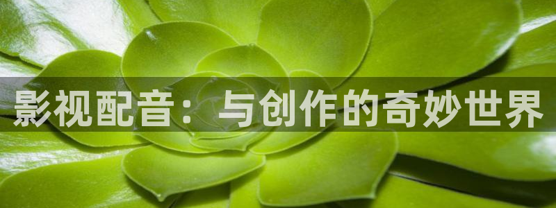 紅桃電影在線免費觀看：影視配音：與創作的奇妙世界